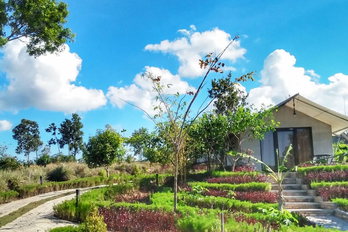 Desa Wisata Ekang menawarkan 16 wahana untuk memberikan pengalaman terbaik. Ada Andong Kuda, Taman Kelinci, atau Pondok. Bagi penikmat mancing bahkan bisa puas menuntaskan hobinya di sini. Anda suka panahan? 