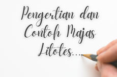 Mengenal Majas Litotes: Pengertian, Ciri-Ciri, Fungsi, dan Contohnya