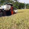 Sri Mulyani: Pertanian Menjadi Kunci Pemulihan Ekonomi Indonesia