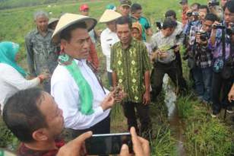 Menteri Pertanian Andi Amran Sulaiman (kemeja putih bercaping) berdialog dengan petani saat panen bawang merah di Desa Shabah, Kecamatan Bungur, Kabupaten Tapin, Kalimantan Selatan, Kamis (15/12). Petani di daerah tersebut berhasil mengembangkan bawang merah di areal seluas 410 hektar dengan produktivitas rata-rata 9-10 ton per hektar sejak tiga tahun lalu. Atas keberhasilan itu, Menteri Pertanian mendorong Kalimantan untuk bisa segera mewujudkan swasembada bawang merah.