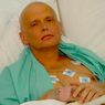 Kasus Pembunuhan Mantan Agen KGB Alexander Litvinenko, Rusia Diminta Tanggung Jawab