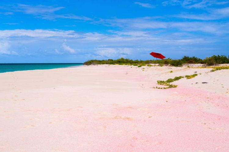 Pasir pantai merah muda di Low Bay, Barbuda.