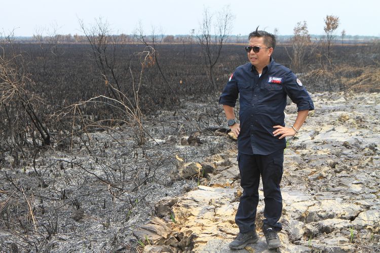 Direktur Jenderal Gakkum LHK Rasio Ridho Sani saat menyegel kawasan lahan milik perusahaan yang terbakar di Kabupaten Ogan KOmering Ilir (OKI), Sumatera Selatan, Rabu (4/10/2023).