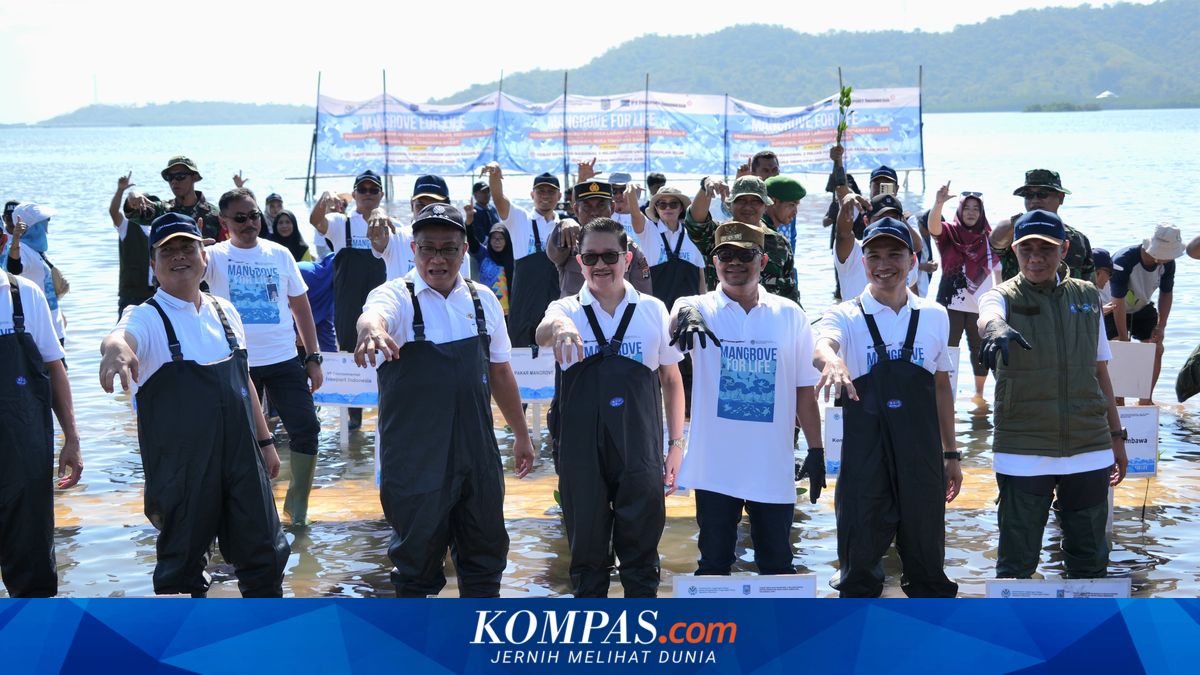 Perkuat Ketahanan Pesisir, Freeport dan Kementerian LH Tanam 1,5 Juta Mangrove di NTB