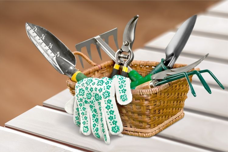 Ilustrasi alat berkebun, peralatan berkebun, gunting tanaman.