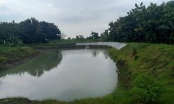 Program Embung Kementan Pacu Produktivitas Pertanian di Lamongan