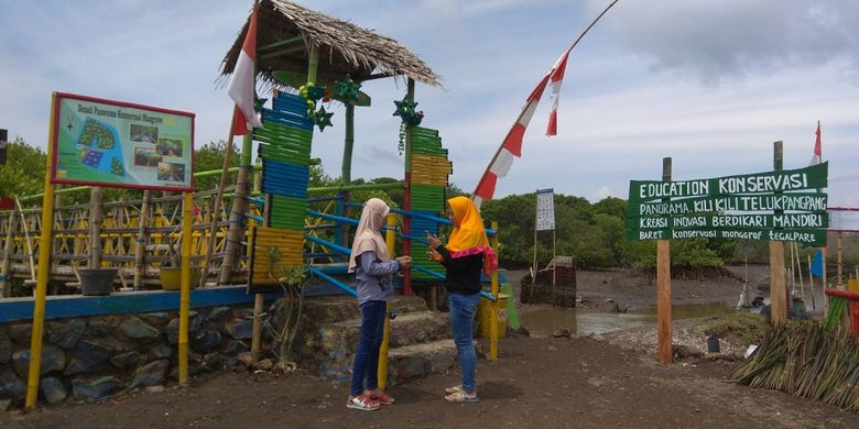 Hutan Mangrove di Teluk Panggang Muncar Banyuwangi, Jawa Timur.