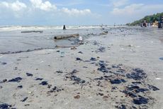 Pesisir Lampung Timur Tercemar Limbah Hitam, Nelayan: Tempat Kami Cari Uang Rusak