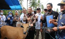 Desa Minakarya, Banggai Jadi Lumbung Pangan, Dirjen PPKTrans Berikan Apresiasi 
