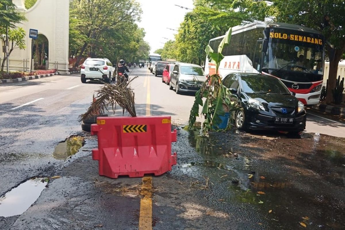 Pohon pisang ditanam warga di Jalan Slamet Riyadi yang berlubang akibat kebocoran saluran pipa air tepatnya di kawasan Kleco, Solo, Jawa Tengah, Senin (25/11/2019).