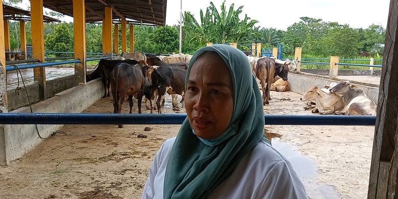 Herawaty, warga Mandala di kandang ternak sapi milik Taufik Hidayat Daulay di Dusun XXII, Desa Pondok Rowo, Kecamatan Sampali, Deli Serdang pada Rabu (1/6/2022) sore. Menurutnya, harga sapi saat ini naik dibandingkan tahun lalu.