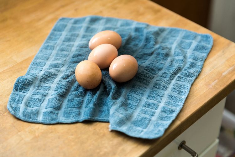 Ilustrasi cara membersihkan telur. 