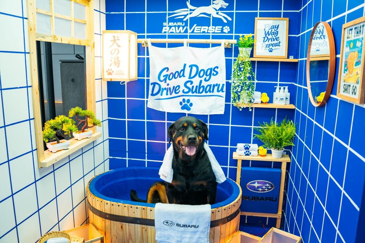 SUBARU PAWVERSE menghadirkan pengalaman bagi pengunjung untuk mengabadikan momen bersama hewan peliharaan.