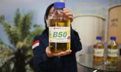 Menimbang Energi Surya Vs Biofuel Lewat 'Hitung Cepat'
