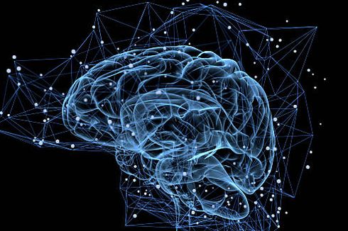 Bagaimana Otak Menyimpan Memori dan Informasi?