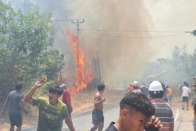 Api Karhutla Muncul Lagi Usai Dianggap Padam, Dua Rumah Warga di Poso Terbakar