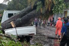 7 Pohon Tumbang Diterjang Angin Puting Beliung di Sukabumi, 1 Mobil dan Puluhan Rumah Rusak