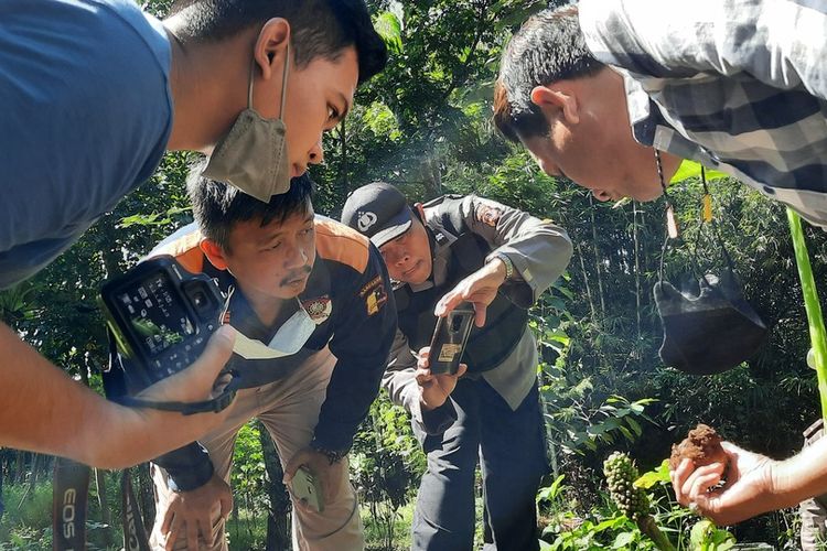 Tim Inafis Polresta Tasikmalaya sedang memeriksa dan menyelidiki temuan 2 granat nanas diperkirakan masih aktif oleh seorang warga saat panen tanaman Porang di Kecamatan Purabaratu, Kota Tasikmalaya, Jawa Barat, Selasa (7/6/2022).