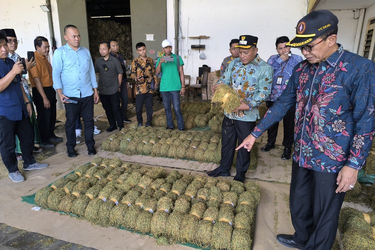Bupati Pamekasan Enggan Tegur Pengusaha meski Tembakau Petani Dibeli Murah