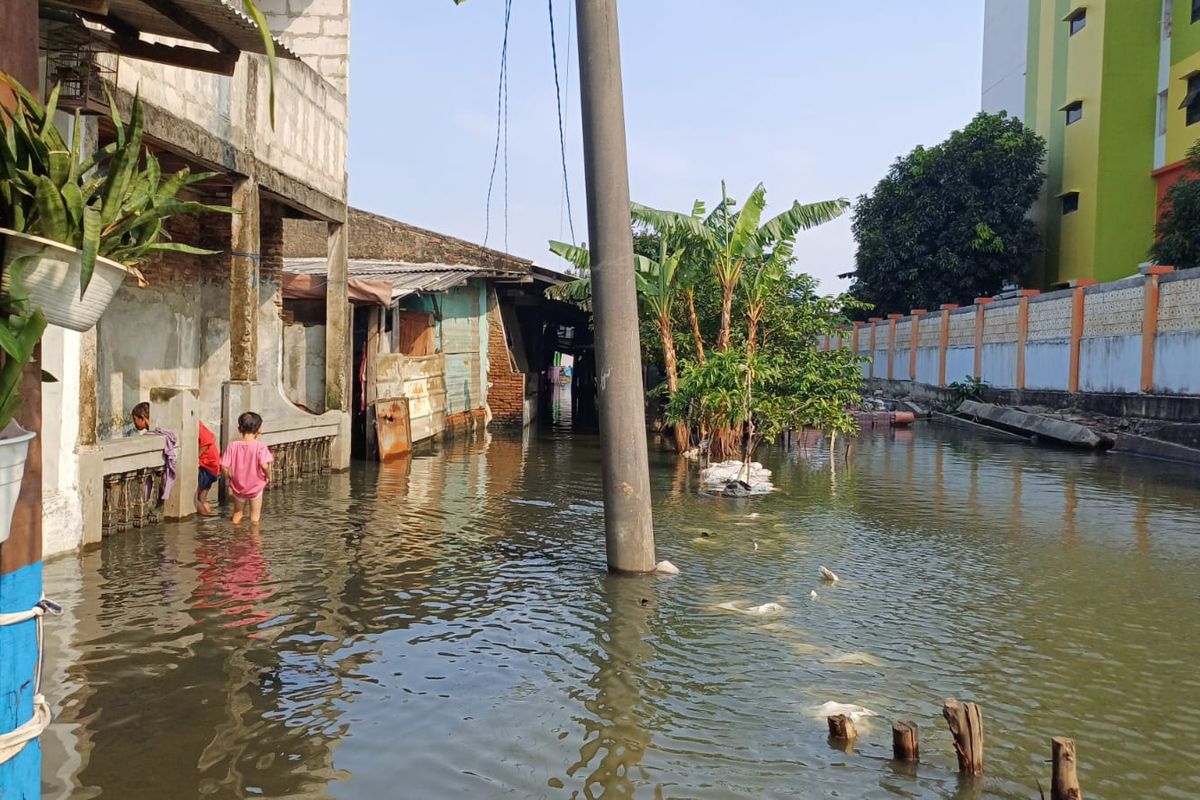 Banjir masih menggenang di RT 15 RW 03 Tegal Alur, Kalideres, Jakarta Barat 