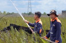 BRGM: Restorasi Permanen Jadi Solusi Pemulihan Ekosistem Gambut Berkelanjutan