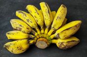 Cavendish Rentan Penyakit Layu Fusarium, RI Bisa Ubah Pisang Liar Jadi Varietas Unggul Tahan Krisis Iklim
