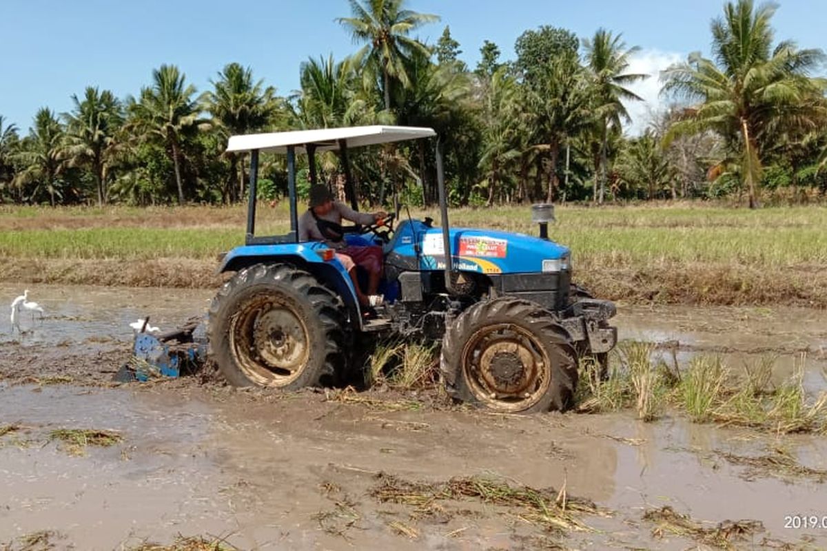 Petani sedang memanfaatkan alsitan berupa traktor