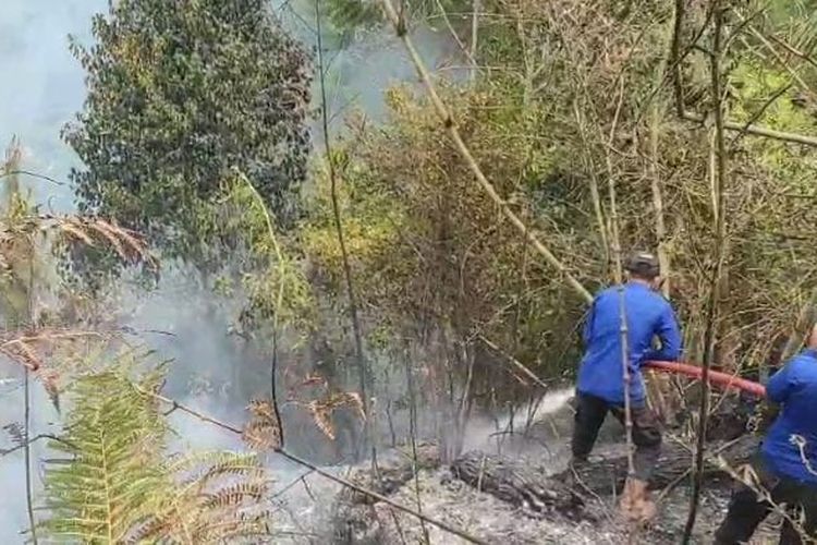 Karhutla Capai 67 Kasus, Bupati Mamasa Minta Aparat Tindak Tegas Pelaku Pembakaran Lahan