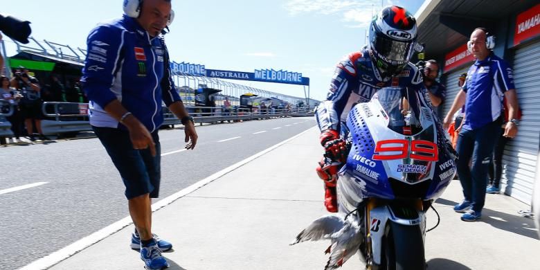 Pebalap Yamaha Factory Racing, Jorge Lorenzo, memasuki paddock dengan burung tersangkut pada motornya saat menjalani sesi kualifikasi GP Australia, yang berlangsung di Sirkuit Phillip Island, Sabtu (19/10/2013).