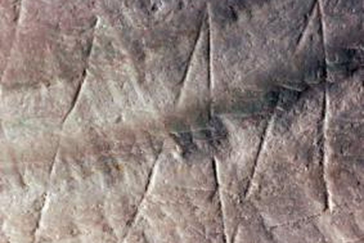 Torehan pada cangkang Pseudodon vondembuschianus trinilensis berusia 500.000 tahun, dinyatakan sebagai torehan tertua di dunia. 