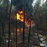 Sumur Minyak Ilegal di Jambi Terbakar Selama Dua Pekan, Habiskan 2,5 Hektare Hutan