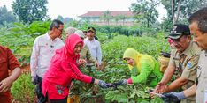 Pengamat Pertanian Apresiasi Langkah Pj. Gubernur Heru, Gencarkan Urban Farming di Jakarta