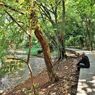 Hutan Kota Srengseng, Tempat Healing Murah Meriah di Jakarta Barat