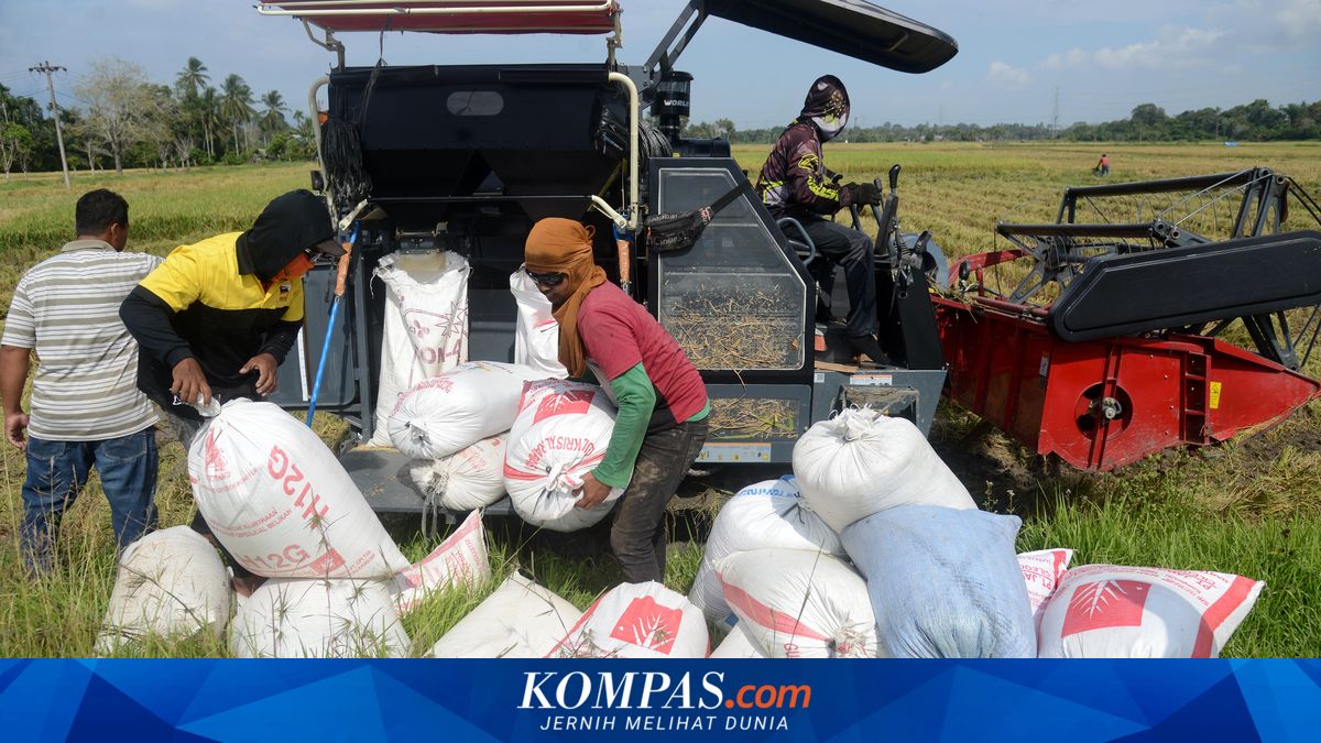 Ancaman Sawah Tanpa Pewaris