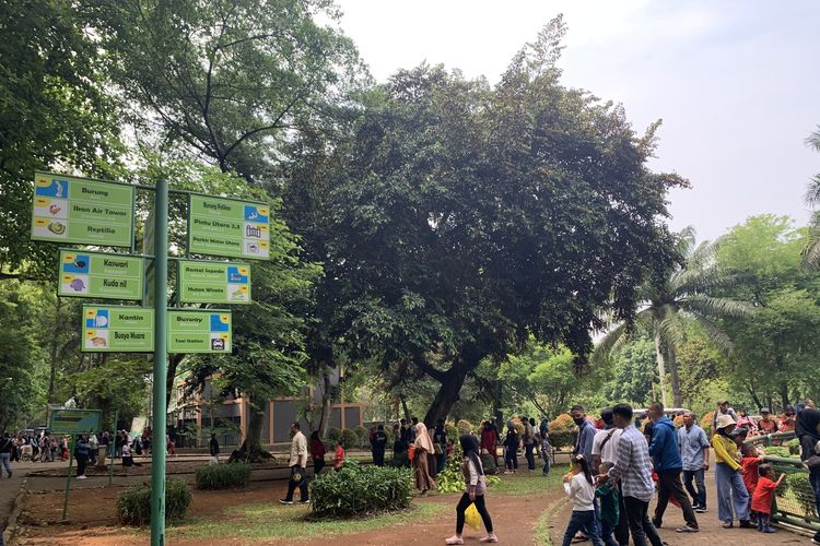 Murah dan Ramah Keluarga, Ragunan Dipadati Pengunjung Saat Libur Lebaran 2026