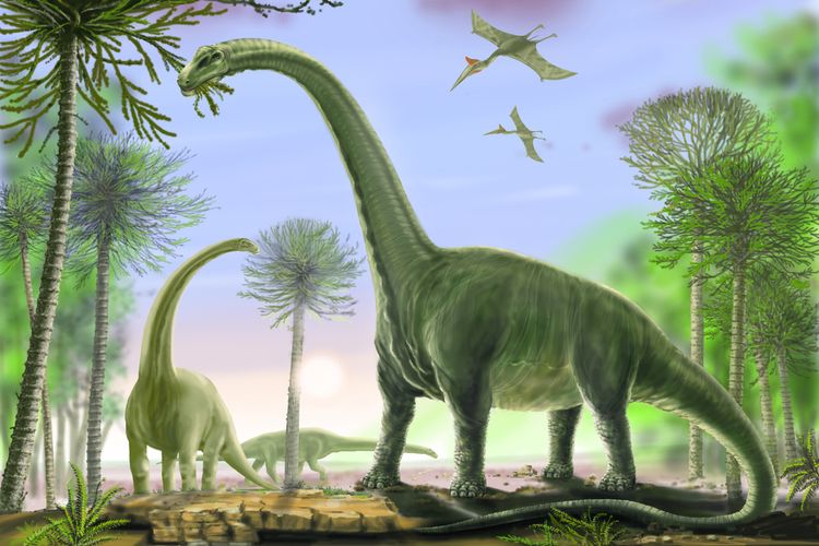 Illustration of Titanosaurus, the largest dinosaur that ever lived.