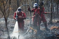 Ratusan Hektar Hutan Suaka Margasatwa Giam Siak Kecil di Riau Terbakar