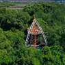 Panduan Wisata Kebun Raya Mangrove Surabaya 