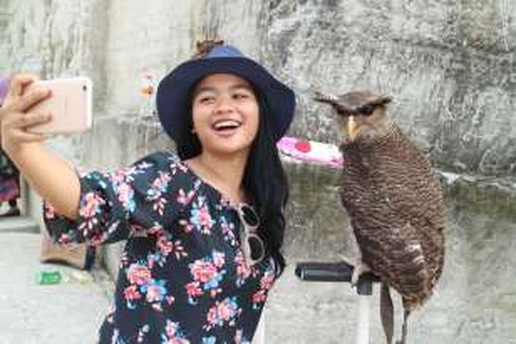 Peserta Take Me Anywhere 2 berpose selfie dengan burung hantu di Taman Tebing Breksi, Yogyakarta, Sabtu (15/10/2016).