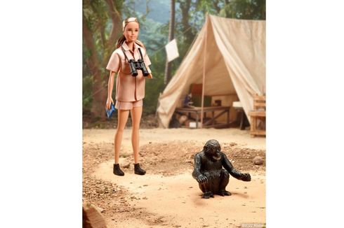 Bikin Boneka Jane Goodall, Barbie Andalkan Plastik Daur Ulang
