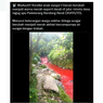 Unggahan Viral Anak Sungai Citarum Berwarna Merah, Ini Penyebabnya