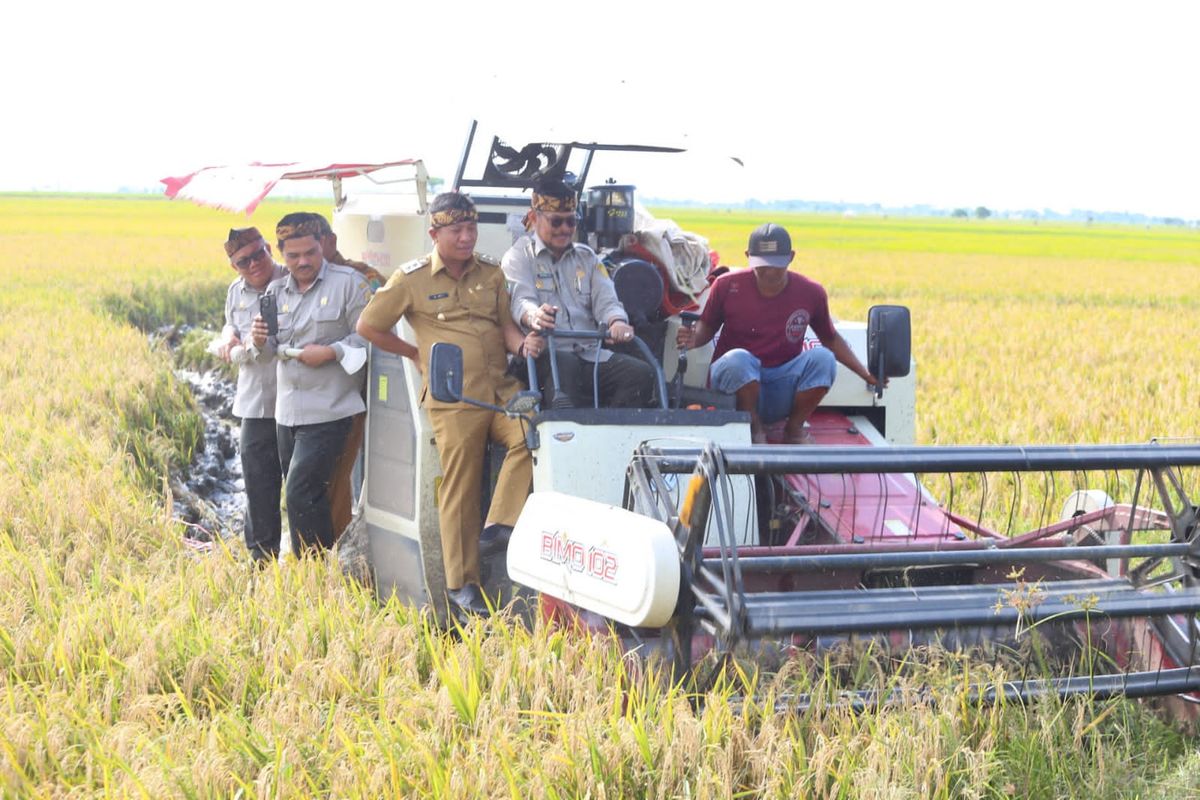 Menteri Pertanian Syahrul Yasin Limpo (Mentan SYL) melakukan panen raya perdana padi awal tahun 2023 di Kabupaten Karawang, Jawa Barat yang merupakan sentra produksi beras nasional.