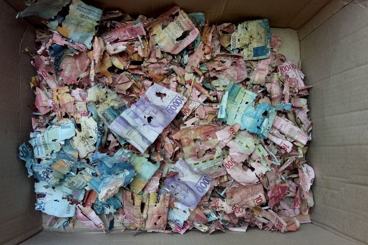Uang tabungan puluhan juta rupiah milik Samin yang ditabung di celengan habis dimakan rayap, Selasa (13/9/2022).