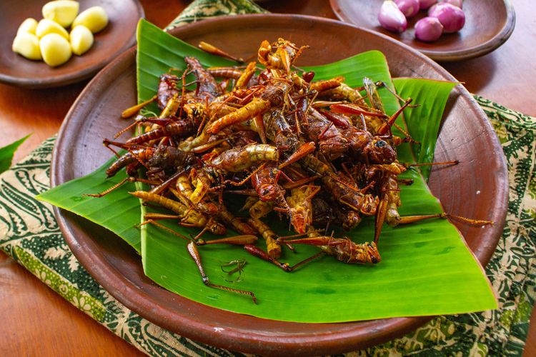 Viral Unggahan Beli Belalang Goreng Isi Sedikit dan Berisi Kardus, Dinas Berikan Pembinaan