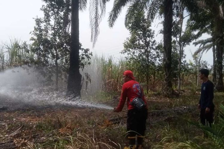 56 Titik Panas Terdeteksi di Lampung, Kekeringan Ancam Produksi Pertanian