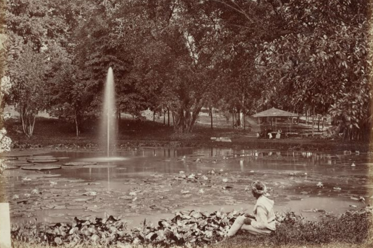 Foto Kebun Raya Bogor tahun 1880