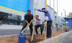 Tanam Pohon Bersama PLN, Walkot Arief Minta Masyarakat Jaga Lingkungan dan Hemat Listrik