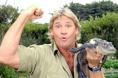 Mengenang 15 Tahun Berpulangnya Steve Irwin 