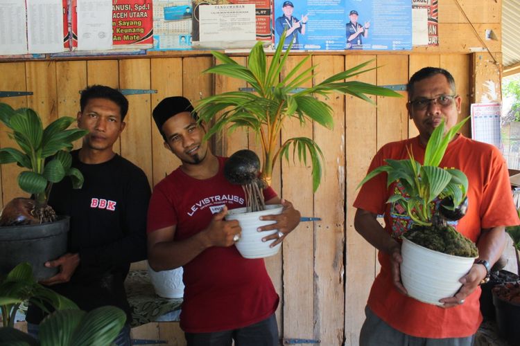 Komunitas bonsai kelapa di Desa Ulee Madon, Kecamatan Muara Batu, Kabupaten Aceh Utara, Minggu (6/9/2020)