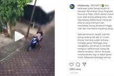 4 Pelaku Aniaya Anjing hingga Mati Ditangkap, Curi Anjing untuk Dimasak